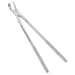 THREE PRONG ROOT MOLAR FORCEPS ONSIDE 19"
