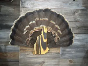 New Hampshire Turkey Fan Plaque
