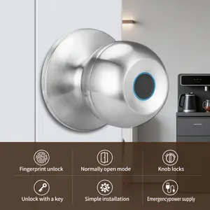 Fingerprint Door Lock, Smart Fingerprint Door Handle, With Lock, Biometric Door Handle, Includes App Control and Key, Keyless Fingerprint Entry Door Lock, Suitable for Bedrooms, Front Doors, Homes, Offices, Satin Silver