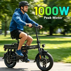 Portable 14 Inch Folding Electric Bike Fold Into Car Trunk 1000W Motor 15Ah Removable Battery 38 Miles Commuter E-Bike With LED Meter & Dual Disc Brake