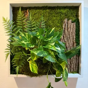 Wall-Mounted Living Frame with Green Plants and Moss Decorative Element for Home Decor Hanging Ornaments Decoration Hangable