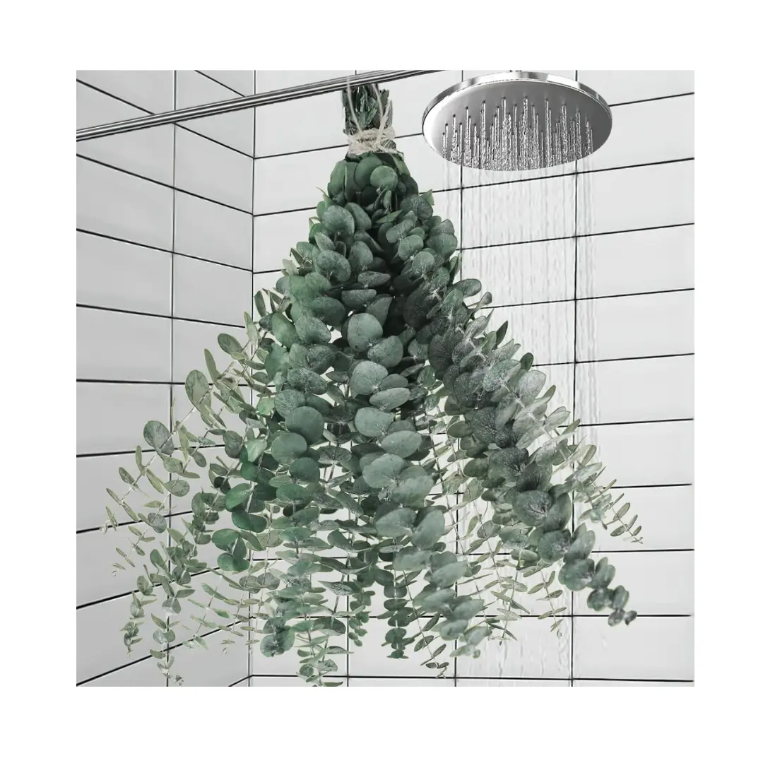 11PCS Natural Dried Eucalyptus Stems - 17in Each, Decorative Hanging Home Decor, Minimalist Shelf & Bathroom Vase Accent, Ideal for Shower & DIY Crafts Greenery