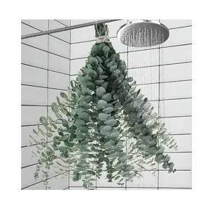 11PCS Real Dried Eucalyptus Stems for Shower and Bathroom Decor, 17-Inch Natural Hanging Eucalyptus Leaves for Home Vase Display and DIY Greenery