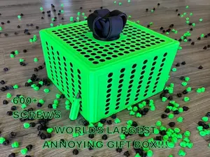 WORLDS LARGEST Annoying Gift Box  *Screwdriver Included* Christmas Gift