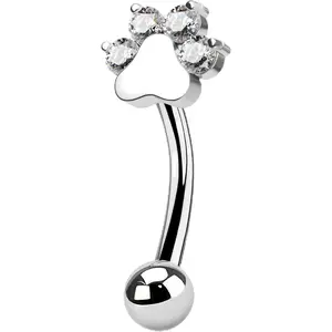 Cute G23 Titanium Paw Print Rook Earrings for Women Men-6mm, 8mm 16g Rook Piercing  Puppy Surgical Steel Eyebrow Rings Internally Threaded Dainty Eyebrow Barbells