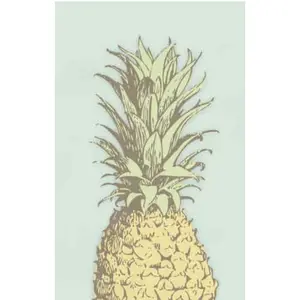 Bradley & Lily Postcards