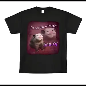 【100% cotton】 I'm Not Like Other Girls I'm A Boy Tee | Funny Meme Graphic T-Shirt | Ironic Humor Top | Sarcastic Relatable Shirt | Unisex Soft Cotton Casual Apparel | Trendy TikTok Meme Gift | Retro Edgy Streetwear | Classic Short Sleeve Print