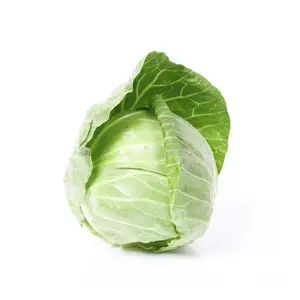 Cabbage, Copenhagen - Bulk Seed