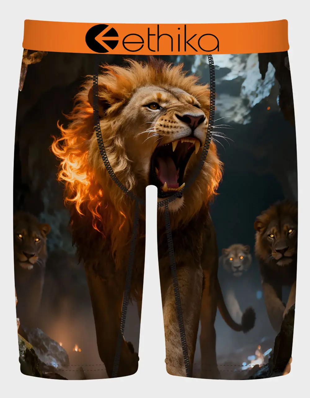 ETHIKA The Pack Staple Mens Boxer Briefs