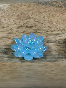 Lotus Flowers