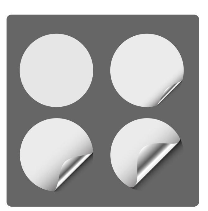 Brittany Upland Bird Dog Sticker | Pheasant Hunting Decal