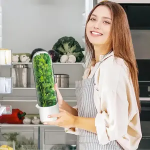 Large Refrigerator Herb Storage Box, Cilantro Preservation Container, Herbal Food Organizer, Fresh Herbs Keeper, Kitchen Essentials