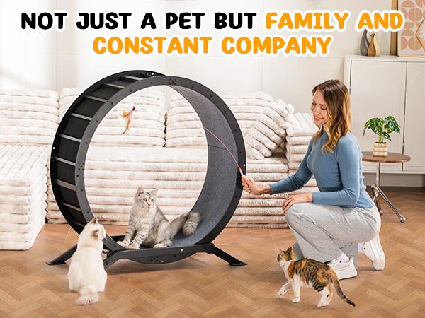 COMHOMA Cat Wheels, 40" Diameter, Large Cat Exercise Wheel for Indoor Cats Cat Treadmill Metal with Detachable Carpet & Teaser/Stickers Ultra-Quiet Scroll Wheel with Latch Safe and Stable