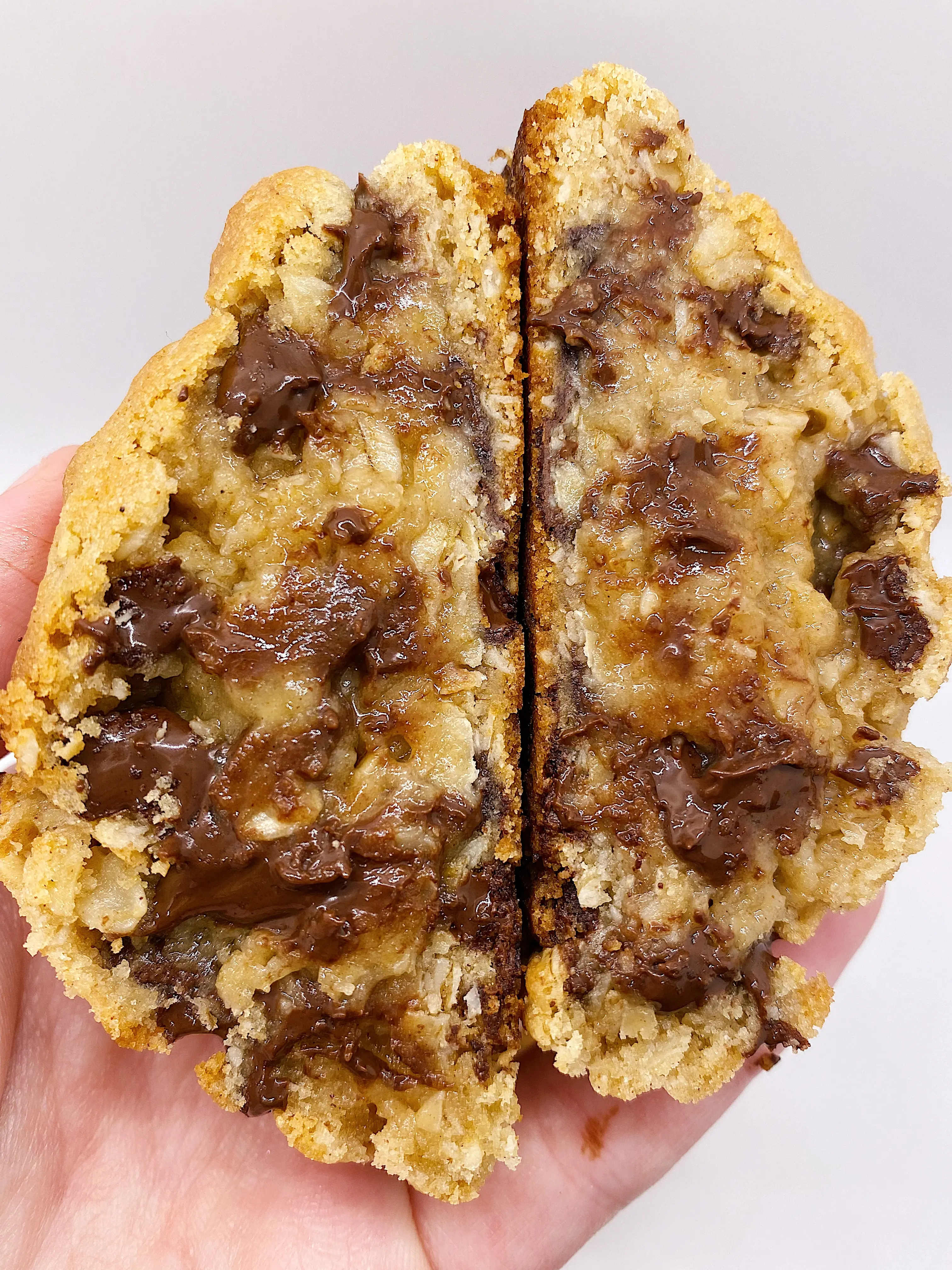 Oatmeal Chocolate Chip 4-Cookie Multipack Giant Gooey Gourmet Delight 6 oz Oatmeal & Chocolate Chips Cinnamon Enhanced Snack Biscuit Cooky