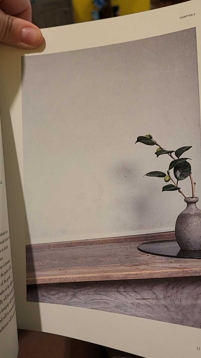 Item: $39 - Softcover, New Living Translation (NLT)