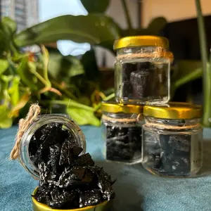 Holy City Oud Bakhoor (15g)