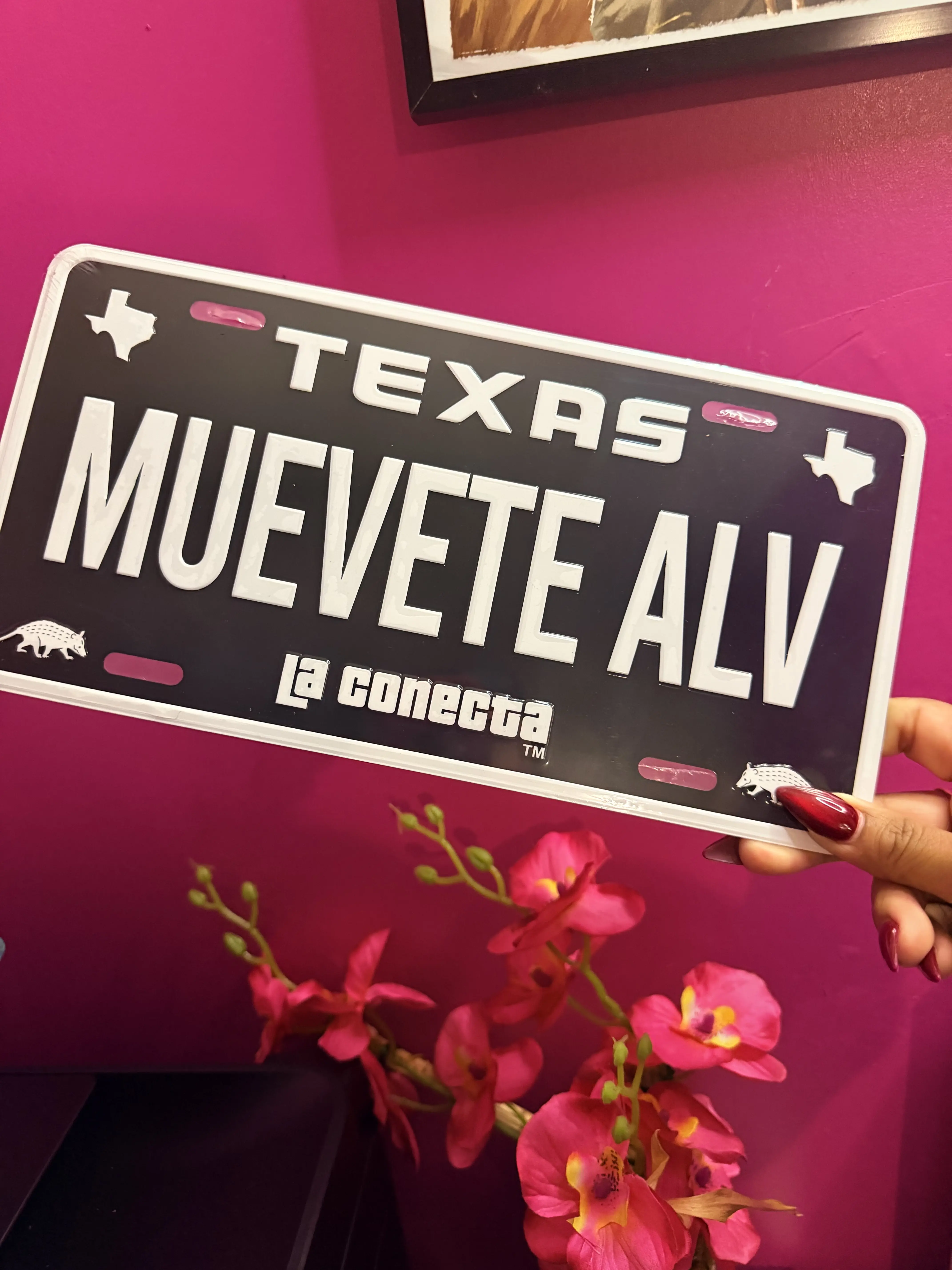 Muevete ALV novelty plate