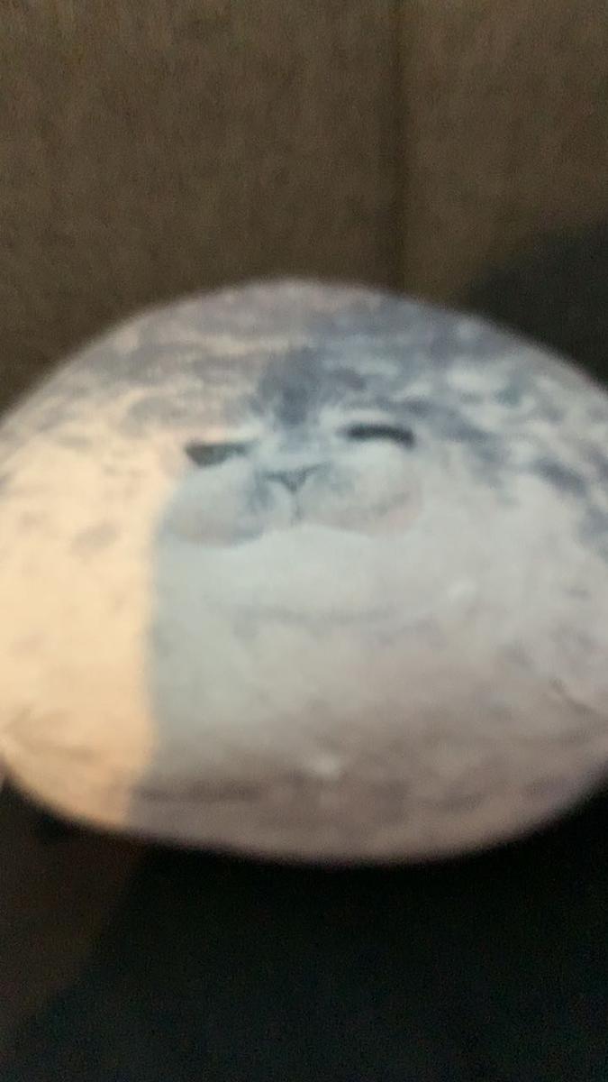 Item: Grey, 20cm/7.87in