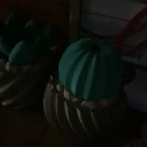 review image 3
