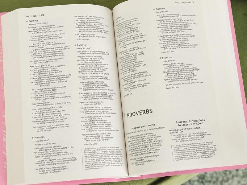 NIV, Gift and Award Bible, Leather-Look, Pink, Red Letter, Comfort Print