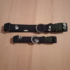 Skeleton Head Dog Collar