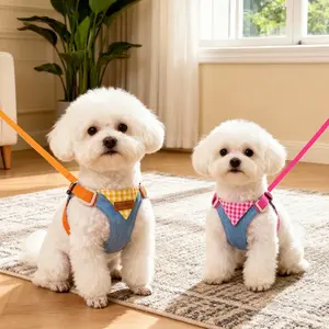 Small Dog Harness Vest with Leash, Harness Leash Set, Poodle Bichon Frise Pet Dog Chest Strap and Rope, Integrated Walking Belt, Pet Supplies