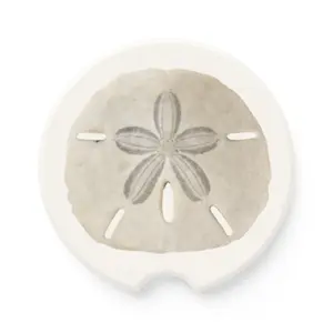 Sand Dollar Car Coasters | Soapstone Car Coaster | Sand Dollar Gift | New Car Gift | Coastal Cup Coaster | Beach Car Coasters