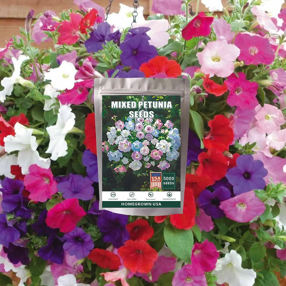 miracle berry plant seeds Miracle Fruit/Berry Tree – Hand Picked Nursery