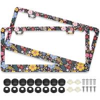 Colorful Floral Flowers