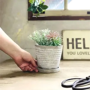 Dotted Cement Planter