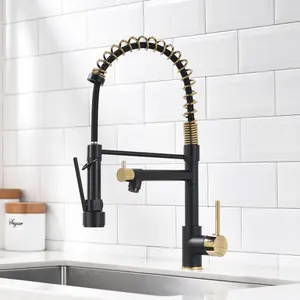 New Single Handle kitchen faucet with pull-down kitchen faucet  Black+Gold