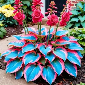800 pcs Hosta Seeds – Low-Maintenance Shade Plants for Yards & Pots