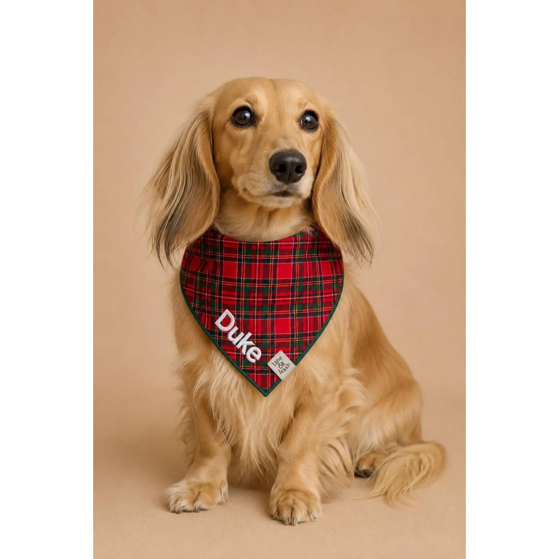 Embroidered Christmas Pet Bandana | Plaid Tidings