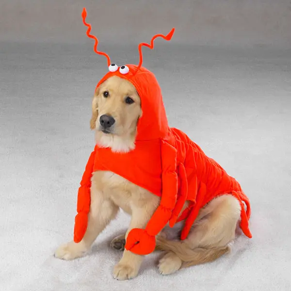 212 MAIN Dog Lobster Paws Animal Costume - Small, Multi-Size Option, Hilarious Charm, Lobster Appearance, Soft Polyester Fiber Fabric, Secure Fit, Ideal for Photo Fun, Animal Costumes