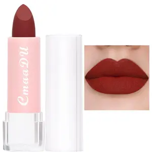 Music Festival Makeup Matte Lip Balm, Long-Lasting Easy Coloring Lipstick, Hydrating Moisturizing Lip Sticks, Cosmetic Suitable for All Occasions Lip Makeup