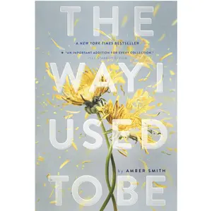 The Way I Used to Be by Amber Smith - Paperback
