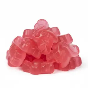 Pink Flamingo Gummy Candy Sweet Fruity Chewy Fun Shaped Gummies