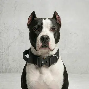 Ultimate K9 Tactical Dog Collar Premium Padded Heavy Duty Training Collar with Metal Buckle