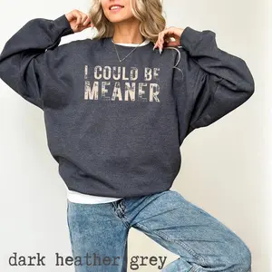 I Could Be Meaner Sweatshirt, Sarcasm Sweatshirt, Sarcastic Sweatshirt, Funny Humor Shirt, Funny Quote Shirt, Spicy Attitude Shirt,Plus Size