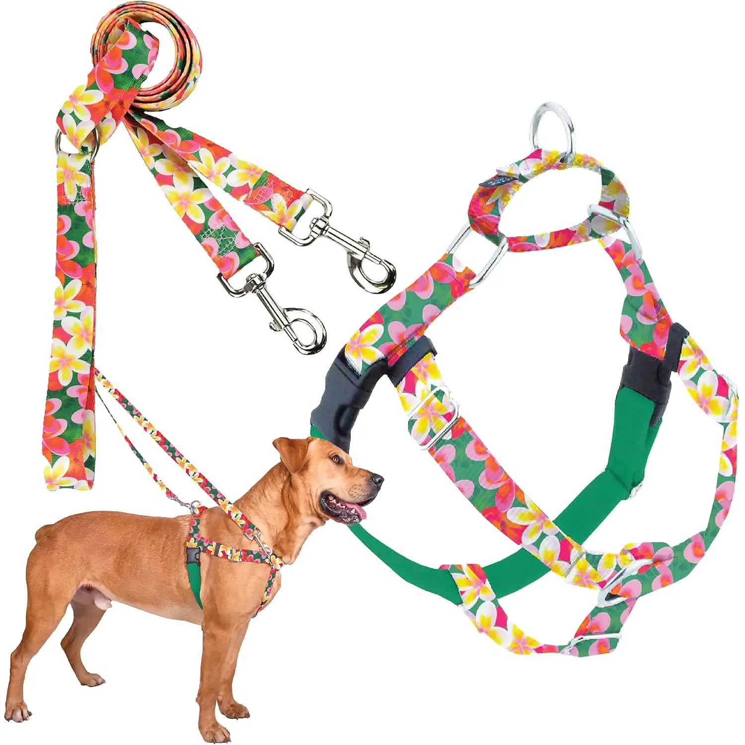No-Pull Harness & Training Leash with Dual Leash Loops, Lined to Prevent Chafing, Green Aloha, for Large Dogs, Size M, Chest 24"-28"
