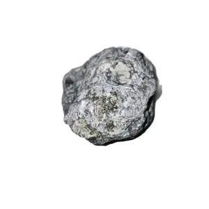 Small Marine Fossil Cluster Ordovician Period 400 Million Years Old Authentic
