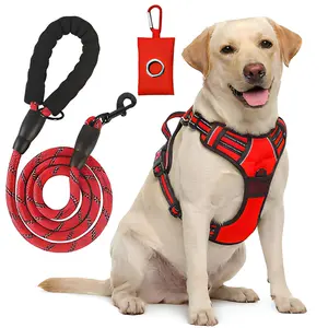 Helety No Pull Dog Harness and Leash Set - 3M Reflective 360° Night Visible Dog Vest with Rope Leash and Poop Bag Holder, Escape Proof Adjustable Harness for Training safe
