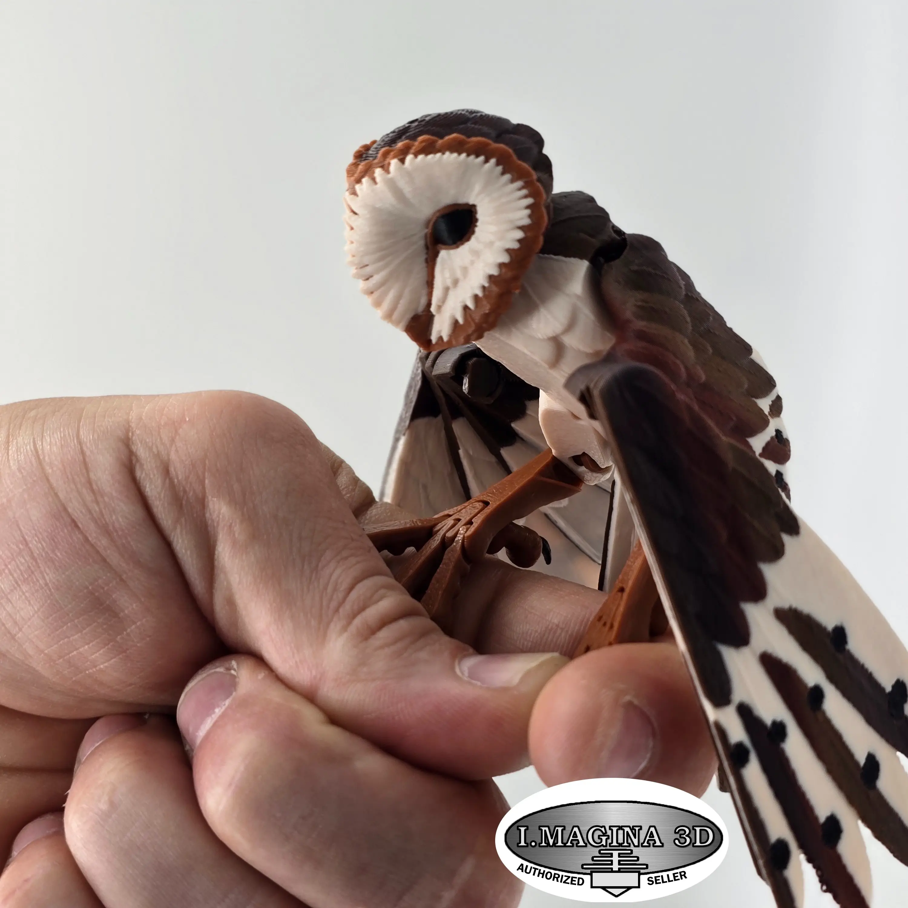 Imagina3d 3D Printed Barn Owl - Standard, Large & Enormous Sizes with Foldable Legs & Wings Decor Decoration Ornamental Fidget