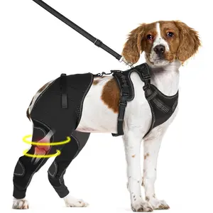 Dog Knee Brace for Torn ACL Hind Leg - Keeps Joints Warm and Stable, Dog Rear Leg Wrap Harness Set for Leg Wound Care Prevents Licking, Upgraded Adjustable Leg Support, L