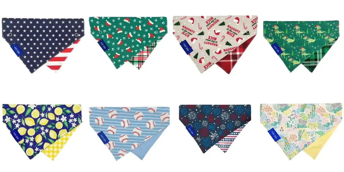 background preload poster image 