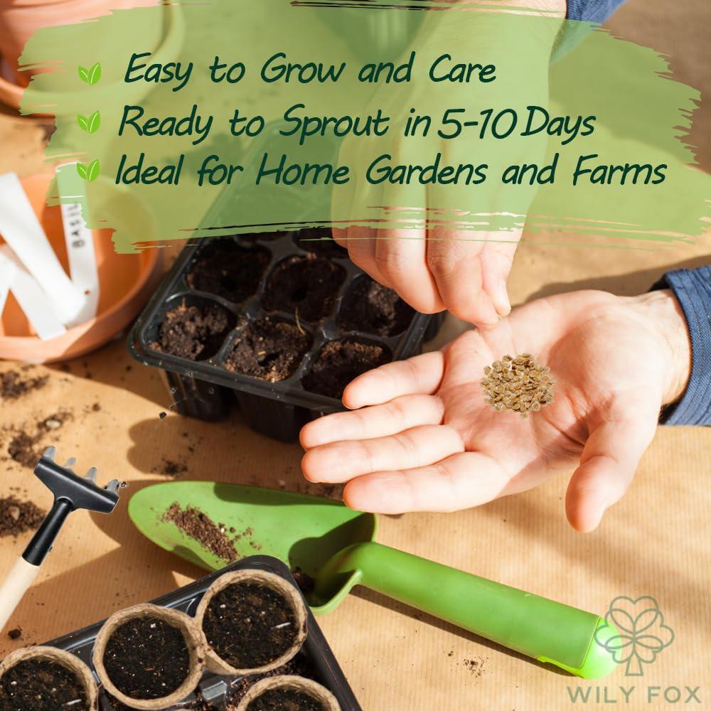 Premium Big Tomato Seeds – 300 Heirloom Non-GMO Seeds for Planting - Juicy, Large Red Tomatoes - Ideal for Home Garden, Outdoor, Patio, Containers, Vegetables, Fresh Tomato Gardening