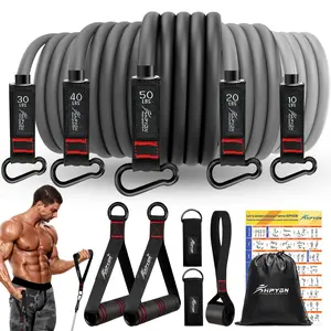Resistance Bands, Exercise Bands with Handles, Fitness Bands, Workout Bands with Door Anchor and Ankle Straps, for Heavy Resistance Training, Physical Therapy, Shape Body, Yoga, Home Workout Set