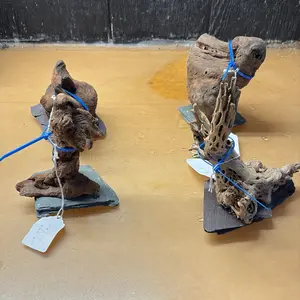 Assorted Mopani Driftwood for Live Planted Aquariums and Reptiles