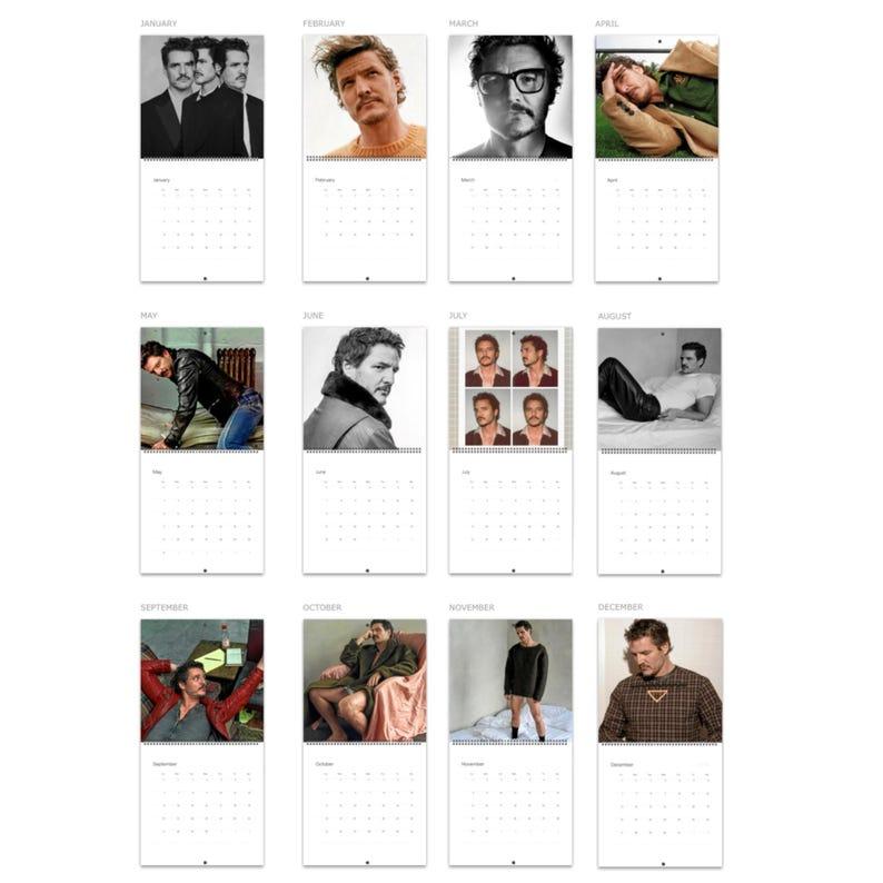 Pedro Pascal 2026 Wall Calendar - TikTok Shop | Holiday Sales TikTok Shop
