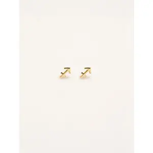 Sagittarius Zodiac Earrings